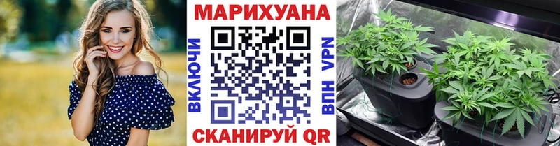 Псилоцибиновые грибы Кемерово