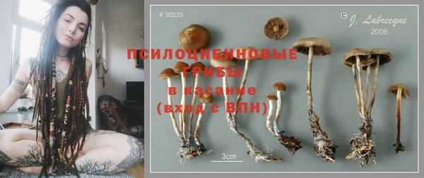 молекула духа Алексин