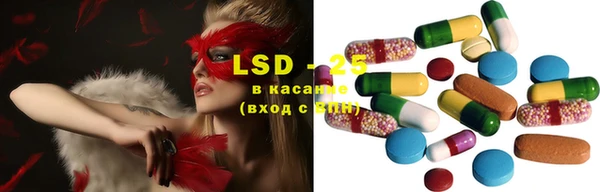 гидропоника Алзамай