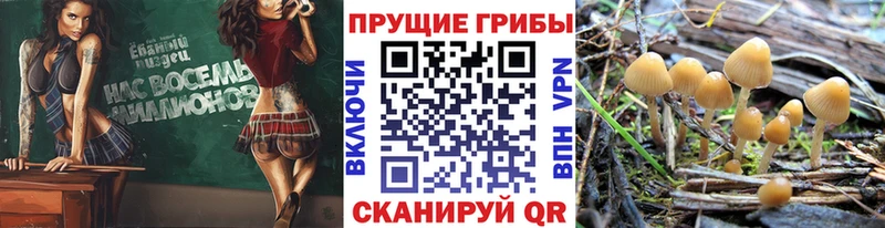 Псилоцибиновые грибы MAGIC MUSHROOMS  Кемерово 