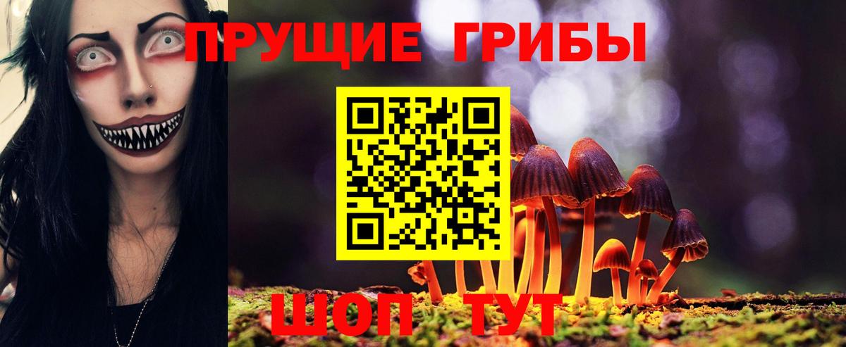 Кемерово  Галлюциногенные грибы Psilocybine cubensis  Вход с VPN 